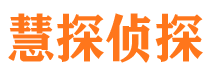 城步市私家调查